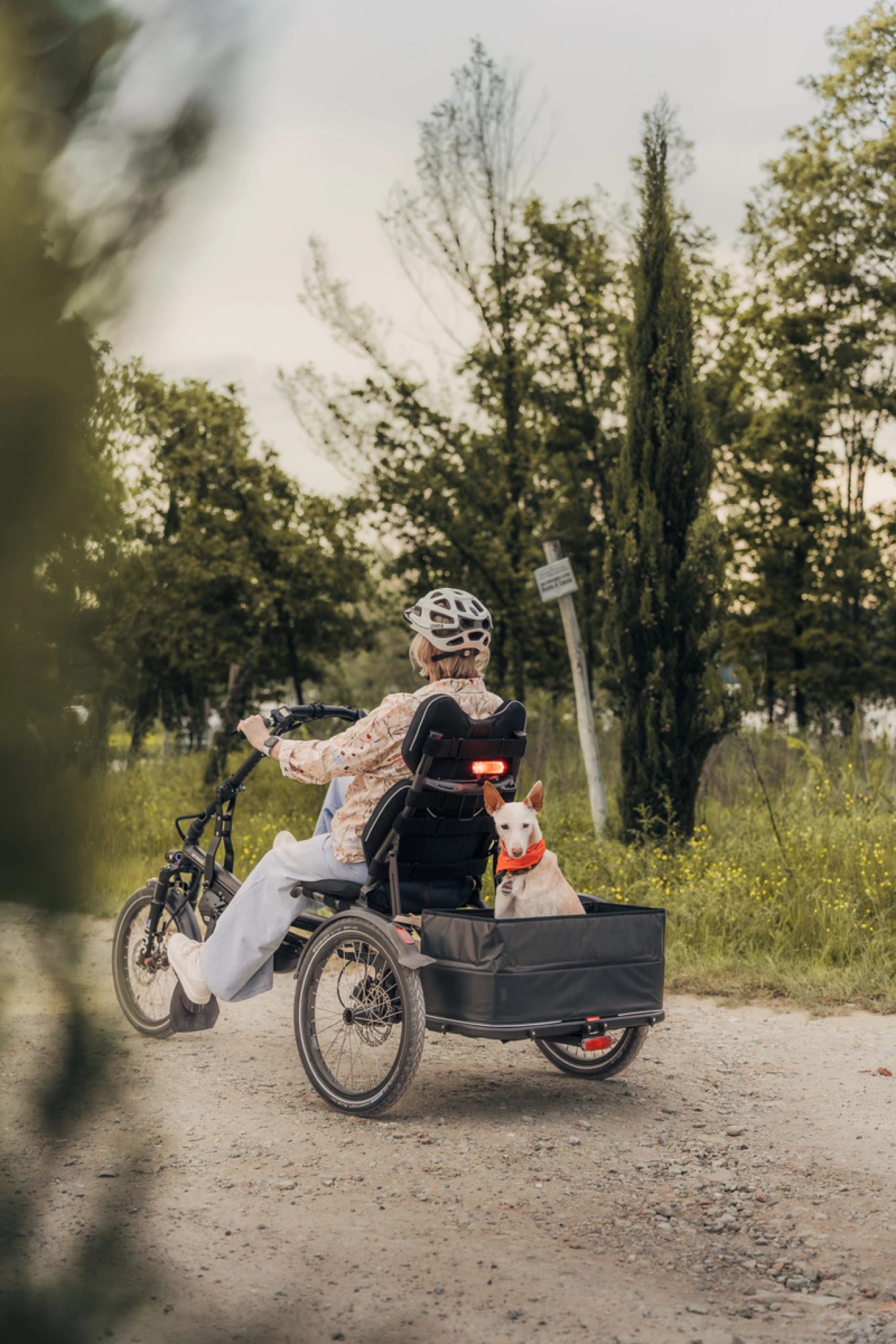 بررسی تخصصی سه چرخه برقی خوابیده با موتور Bosch 3 نمای جانبی از سیستم دنده اتوماتیک Enviolo