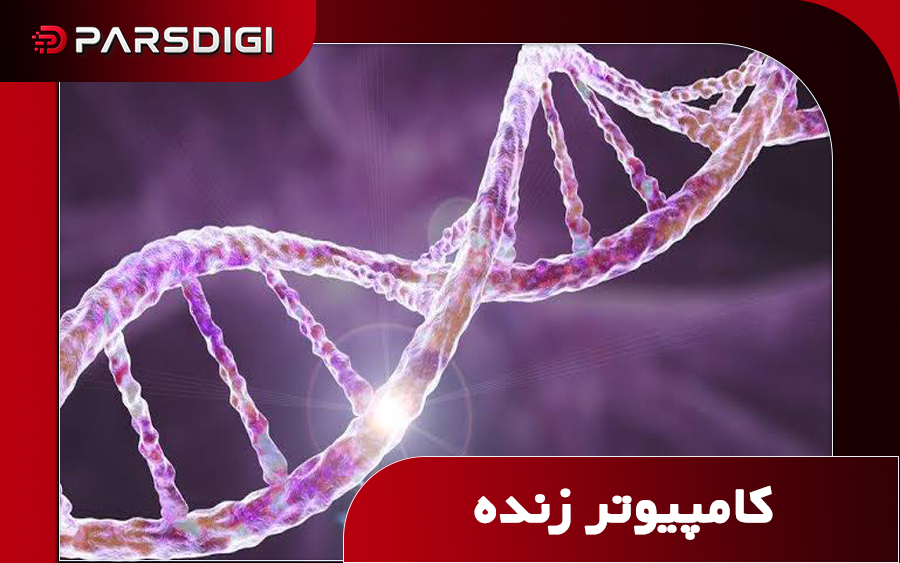 اولین کامپیوتر DNA جهان ساخته شد؛ بدون نیاز به برق و با رکوردی تازه