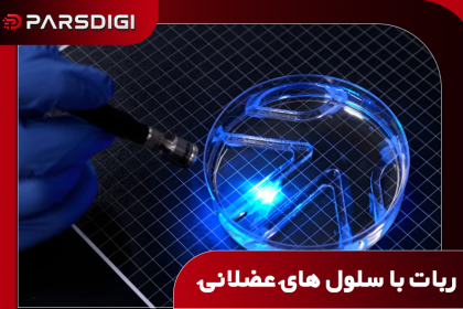 ساخت ربات شناگر بدون موتور در MIT؛ هدایت با نور و حرکت با عضلات زنده
