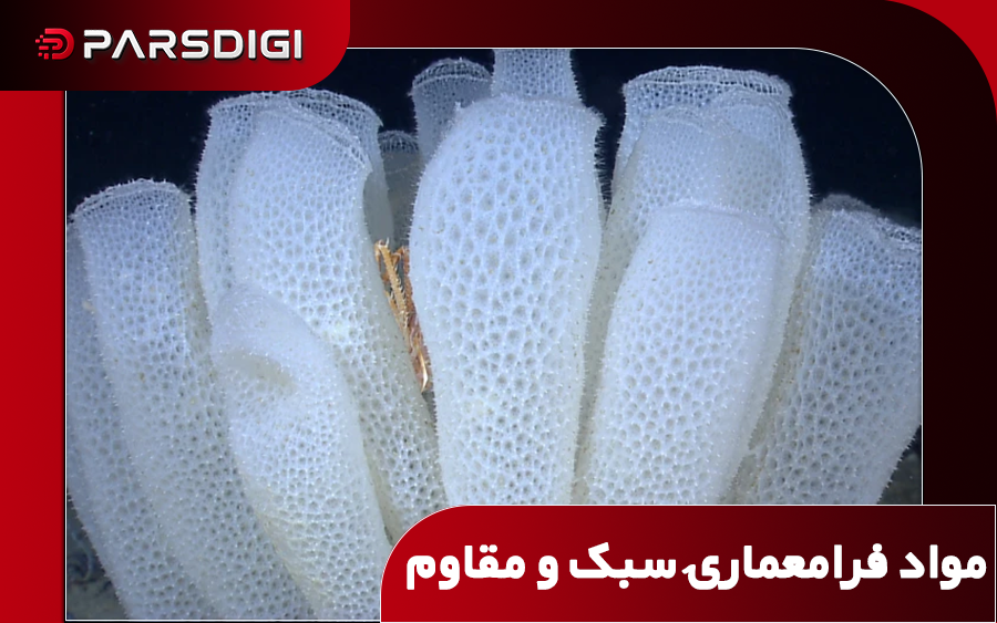 اسفنج‌های شیشه‌ای اعماق اقیانوس الهام‌بخش ساخت مواد فوق‌مقاوم و سبک شدند