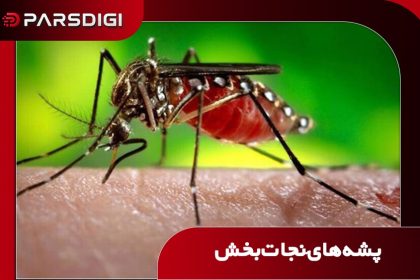 گوگل می‌خواهد پشه‌ها را برای مبارزه با بیماری‌های کشنده پخش کند